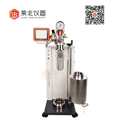 1665811915103534.jpg LB2000落地式機(jī)械攪拌反應(yīng)釜.jpg